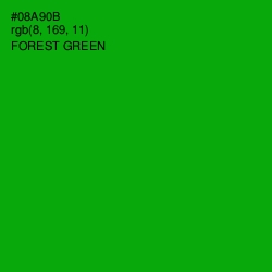 #08A90B - Forest Green Color Image